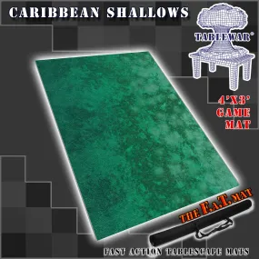 4x3 'Caribbean Shallows  (lighter ocean)