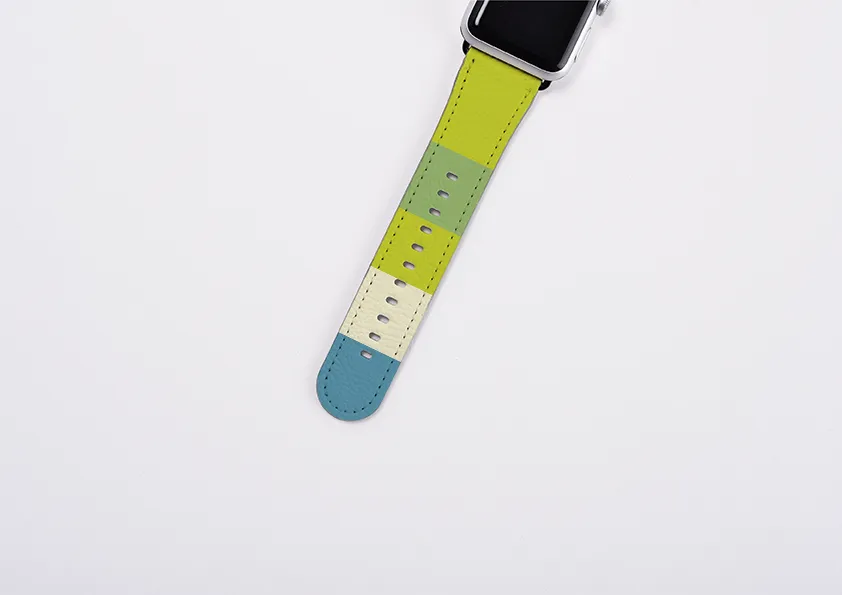 Apple Watch Strap- Jaipur Chroma Horizontal Stripe