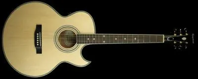 Epiphone PR5-E Natural