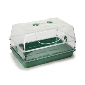 Large Domed Propagator with Single Height Extender Set