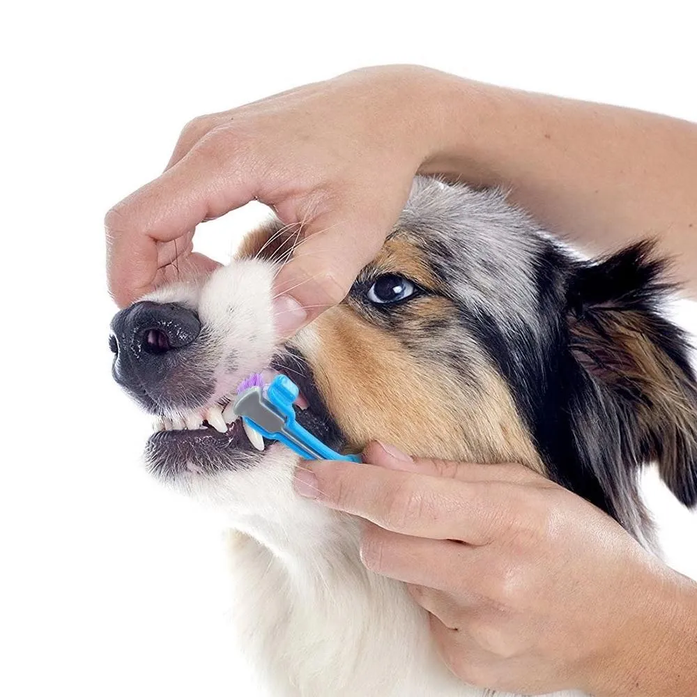 Pet Dog Toothbrush