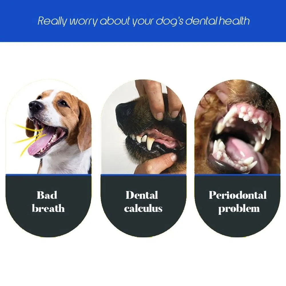 Pet Dog Toothbrush