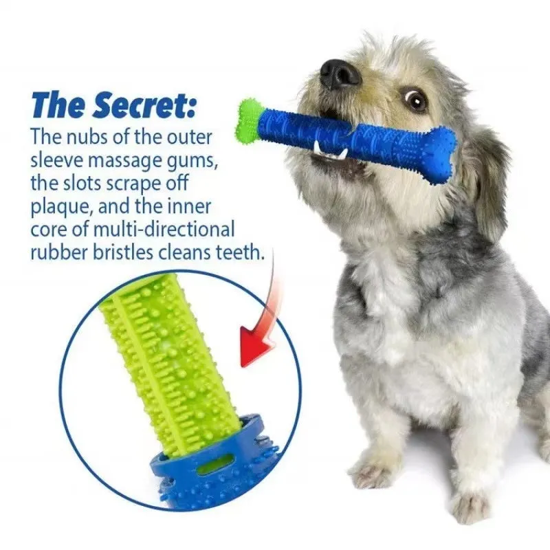 Rubber Dental Toothbrush Chew Toy for Dogs