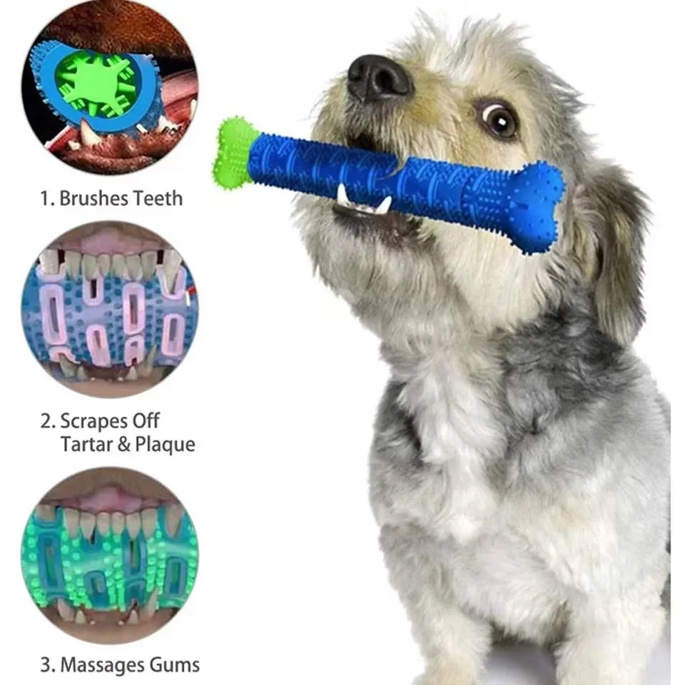 Rubber Dental Toothbrush Chew Toy for Dogs