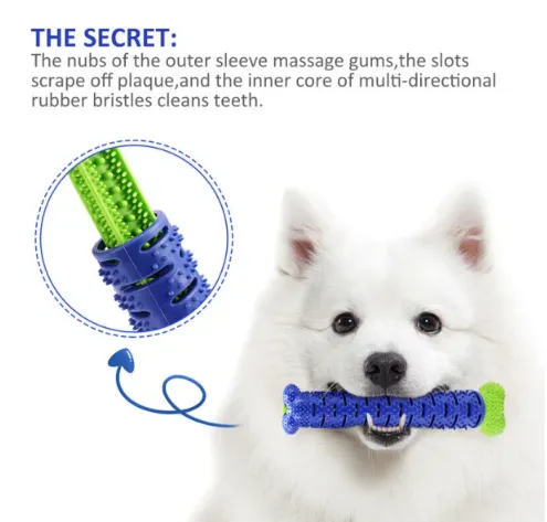 Rubber Dental Toothbrush Chew Toy for Dogs