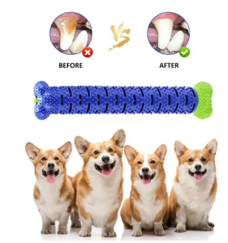 Rubber Dental Toothbrush Chew Toy for Dogs