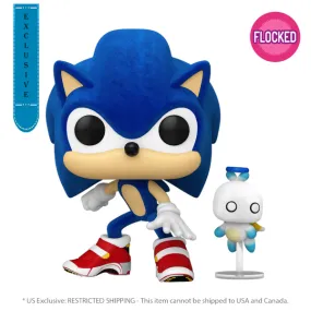 Sonic - Sonic w/Hero Chau FL Pop! Vinyl RS