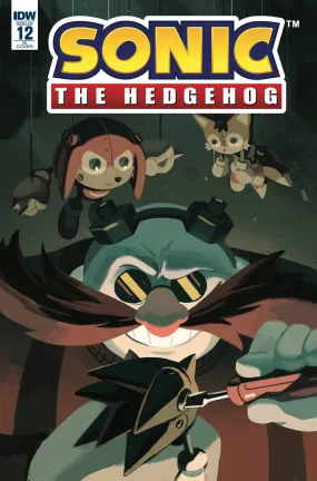 SONIC THE HEDGEHOG #12 CVR C RI