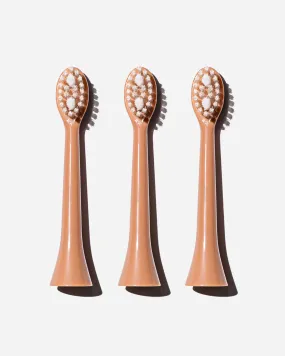 Spotlight Oral Care Sonic Toothbrush Replacement Heads in Rose Gold