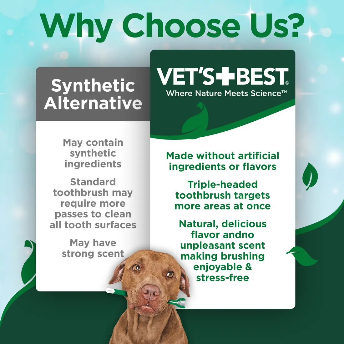 Vet's Best | Dog Healthcare | Dental Kit with Toothbrush & Enzymatic Gel Toothpaste